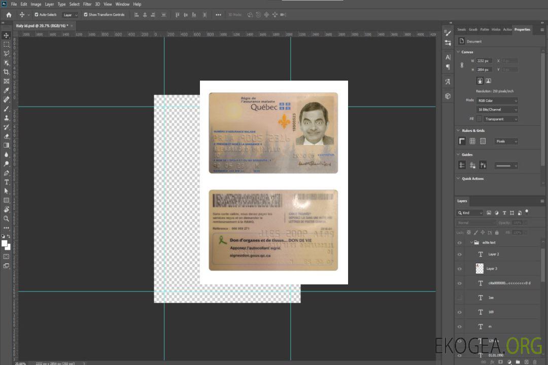 Carte d'assurance maladie Canada Québec template